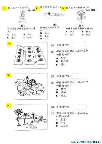 土壤练习2