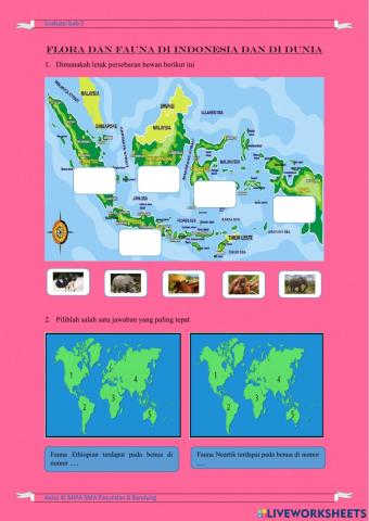 Evaluasi Bab 2  Flora dan fauna