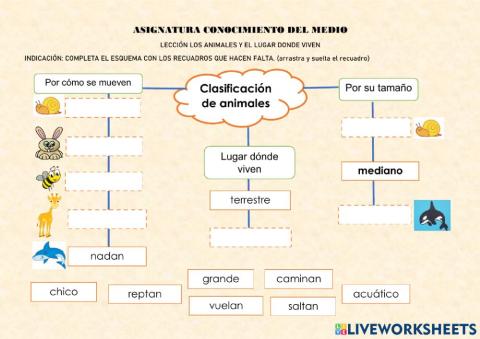 Clasificación de animales