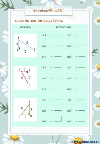 ตรีโกณมิติ1