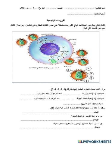 الفيروسات