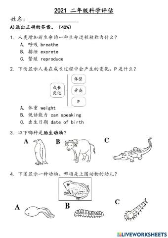 二年级科学评估