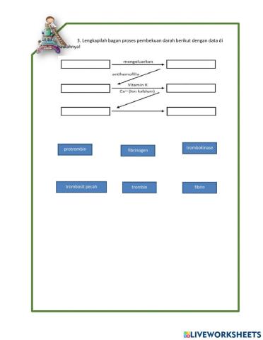 LK dan petujuk pratikum sistem sirkulasi part 2