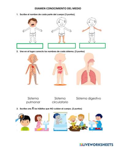 Conocimiento del medio