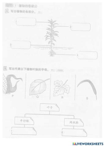 一年级科学练习 5 -6页