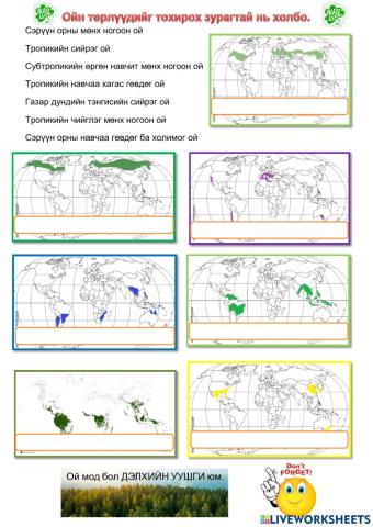 World forest