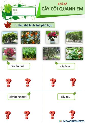 Tự học CĐ Cây cối quanh em