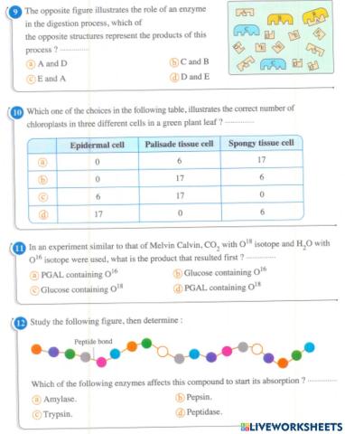 Biology