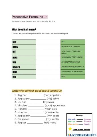 Possessive Pronouns 1