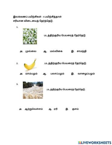 இலக்கணப் பயிற்சி