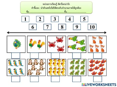 สัตว์โลกน่ารัก