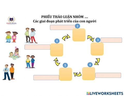 Khoa học Giai đoạn phát triển của người