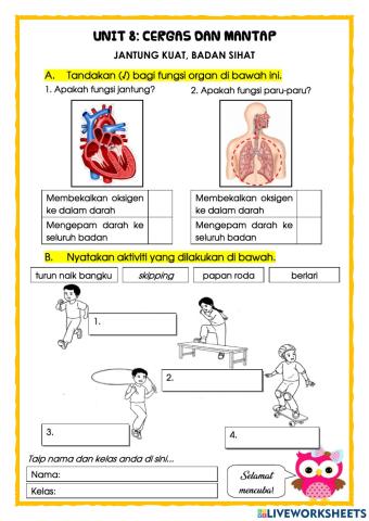 P.Jasmani Thn 1 : Jantung Kuat, Badan Sihat