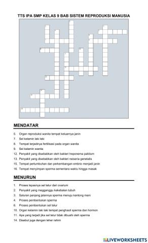 Tts ipa smp 9 sistem reproduksi manusia