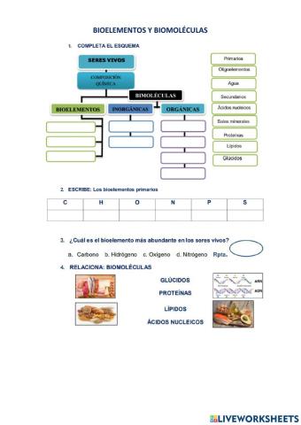 Biolementos y biomoléculas