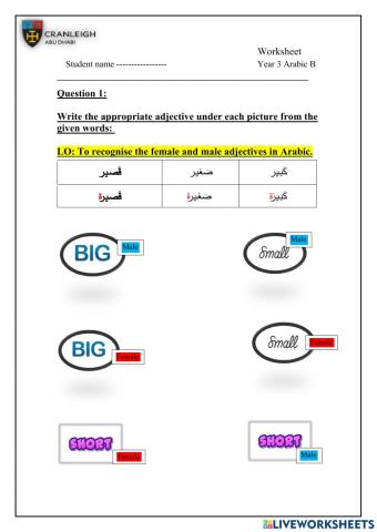 Arabic Adjectives