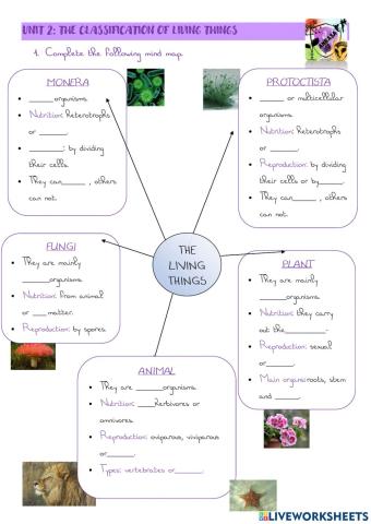 Classification of living things