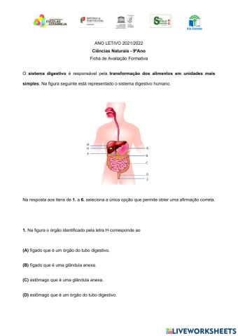 Avaliação Formativa Sistema Digestivo