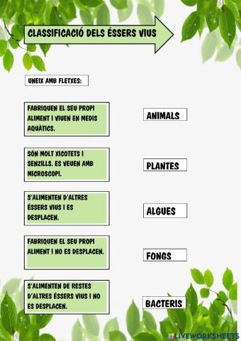 Classificació dels éssers vius