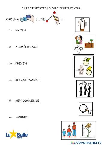 Características dos seres vivos