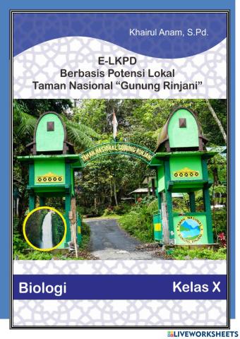 Lembar Kerja Peserta Didik Materi Plantae kelasX