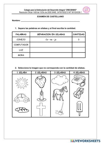 Examen segundo semestre lengua castellana