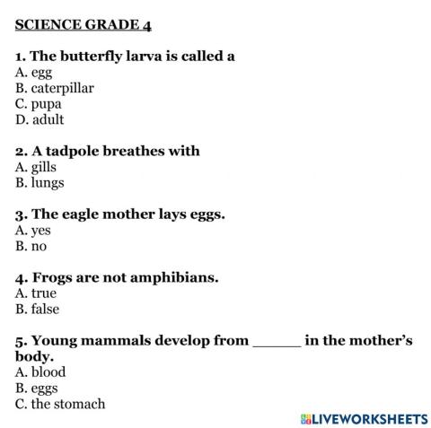 Science 4 week 11