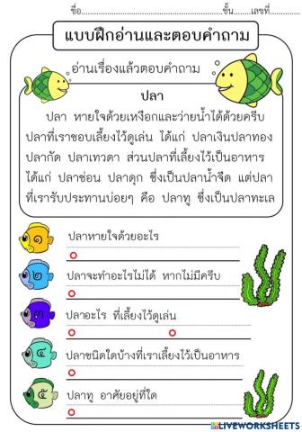 อ่านจับใจความ2