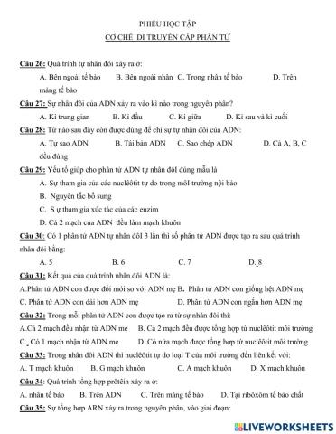 BT có chế DT cấp phân tử