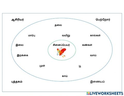 சினைப்பெயர் 2