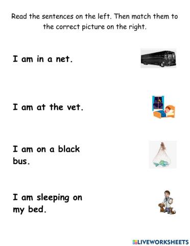 I am worksheet 4