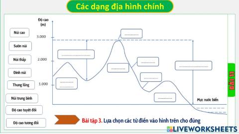 Các dạng địa hình chính