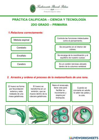 Practica de ciencia