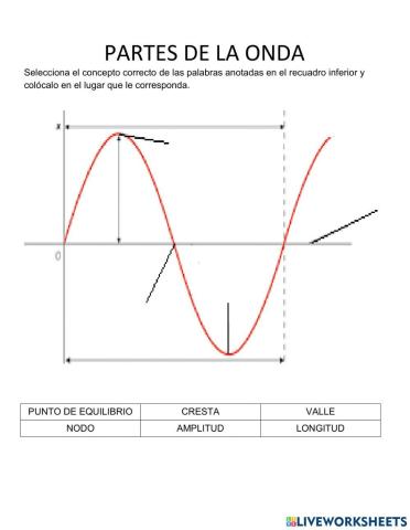 Partes de las ondas