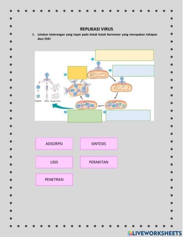 Replikasi Virus