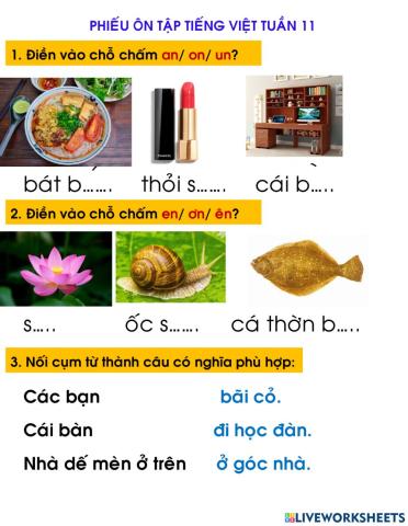 Phiếu bài tập tuần 11