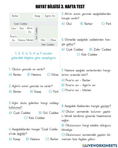 Hayat Bilgisi 3. Hafta Test