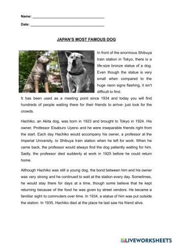 Japan’s most famous dog