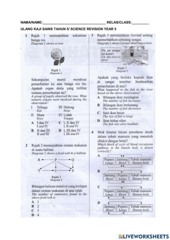 Revision science year 5 (4)