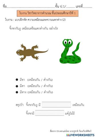 ความเหมือนและความแตกต่าง (2) วิทยาการคำนวณ ป.1