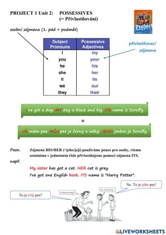 Project 1 Unit 2B - POSSESSIVES