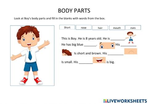 Body Part