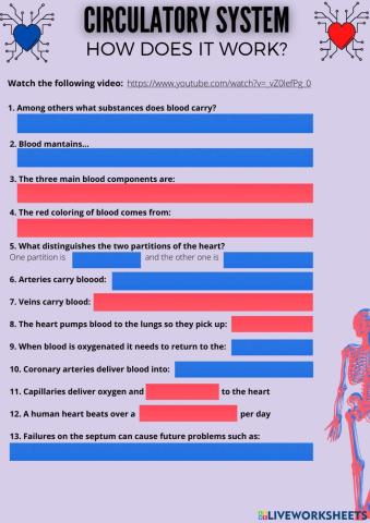 Circulatory System