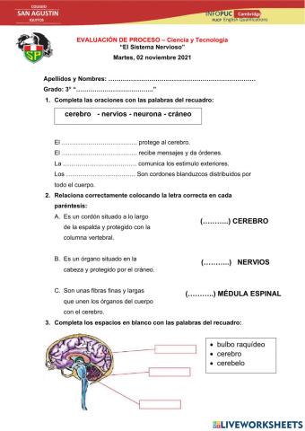 EVALUACIÓN DE PROCESO – Ciencia y Tecnología