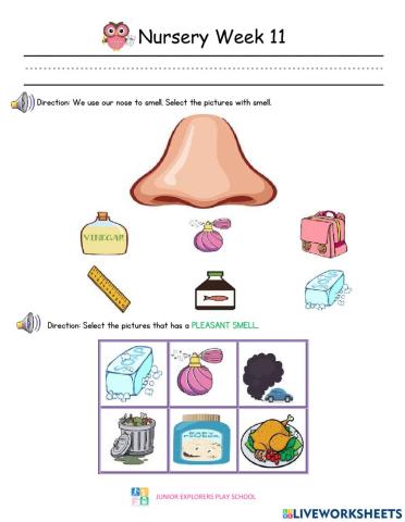 Nursery Summative Assessment Week 11