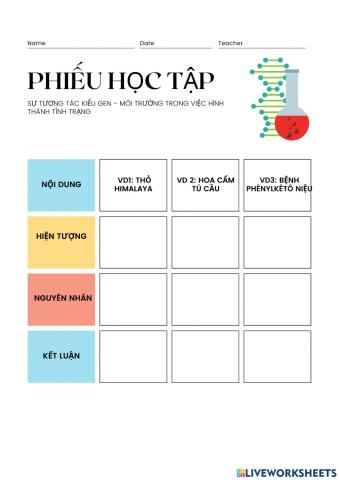 Phiếu học tập bài 13 sinh 12