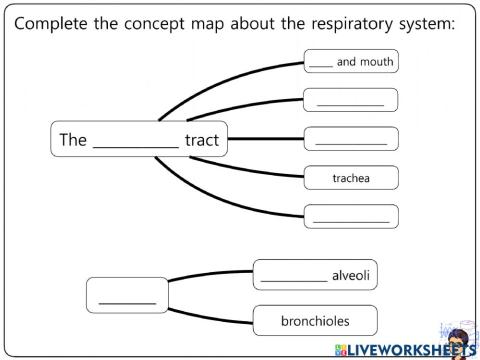 Nutrition Worksheets 6-11