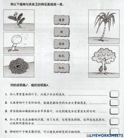 植物的物种生存