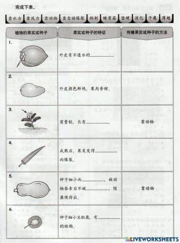 植物传播的方法