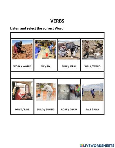 Verbs